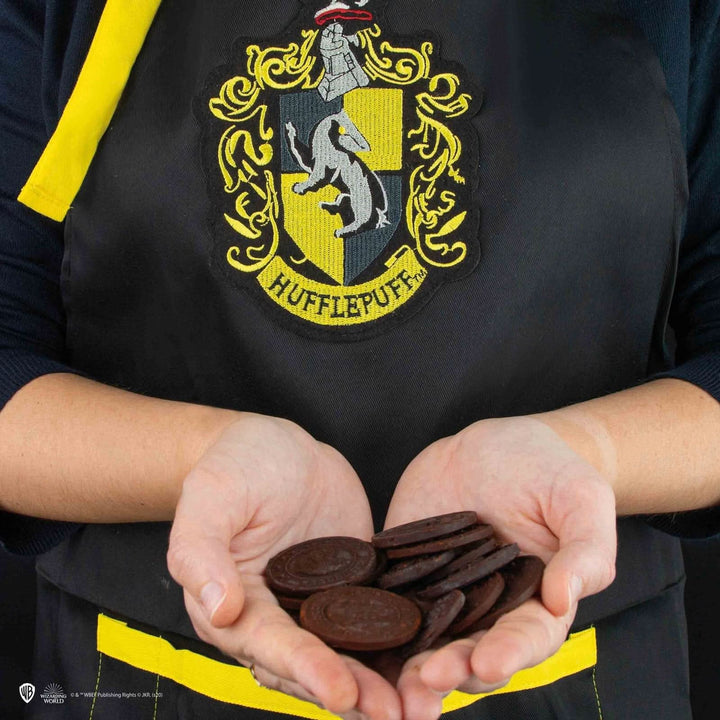 Harry Potter Apron - Hufflepuff CR4114