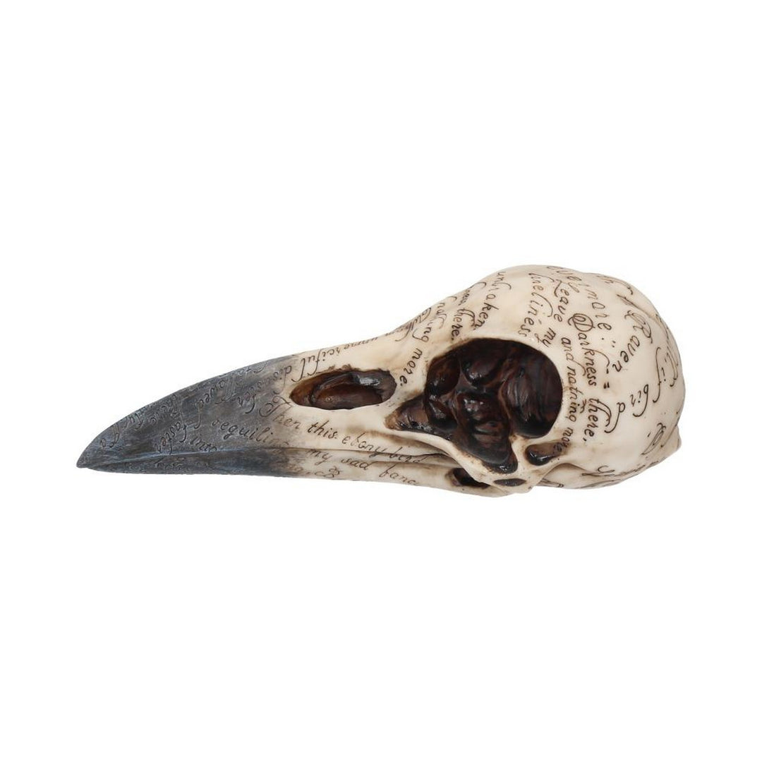 Edgar's Raven Skull Figurine Edgar Allen Poe Ornament B1986F6