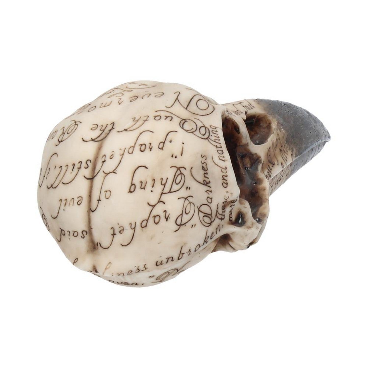 Edgar's Raven Skull Figurine Edgar Allen Poe Ornament B1986F6