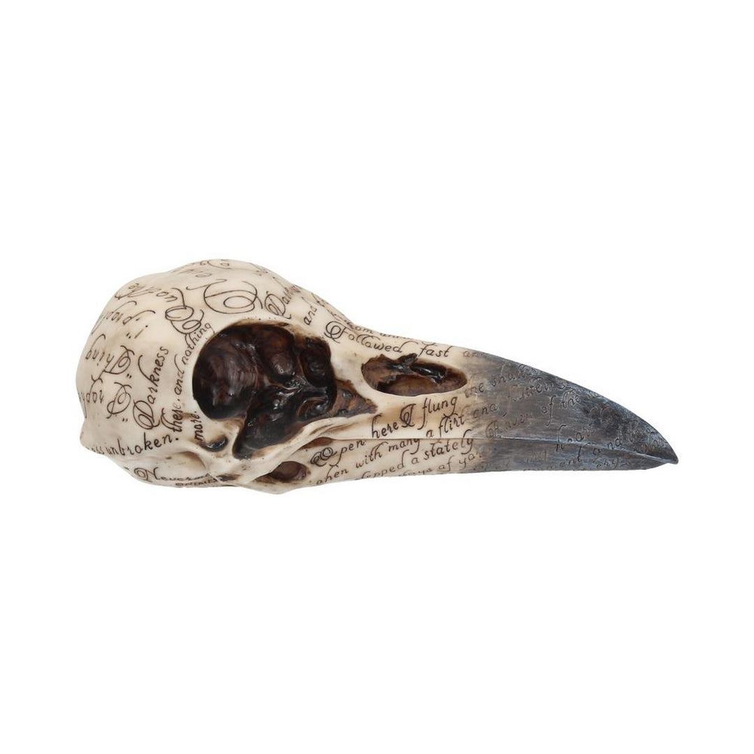 Edgar's Raven Skull Figurine Edgar Allen Poe Ornament B1986F6