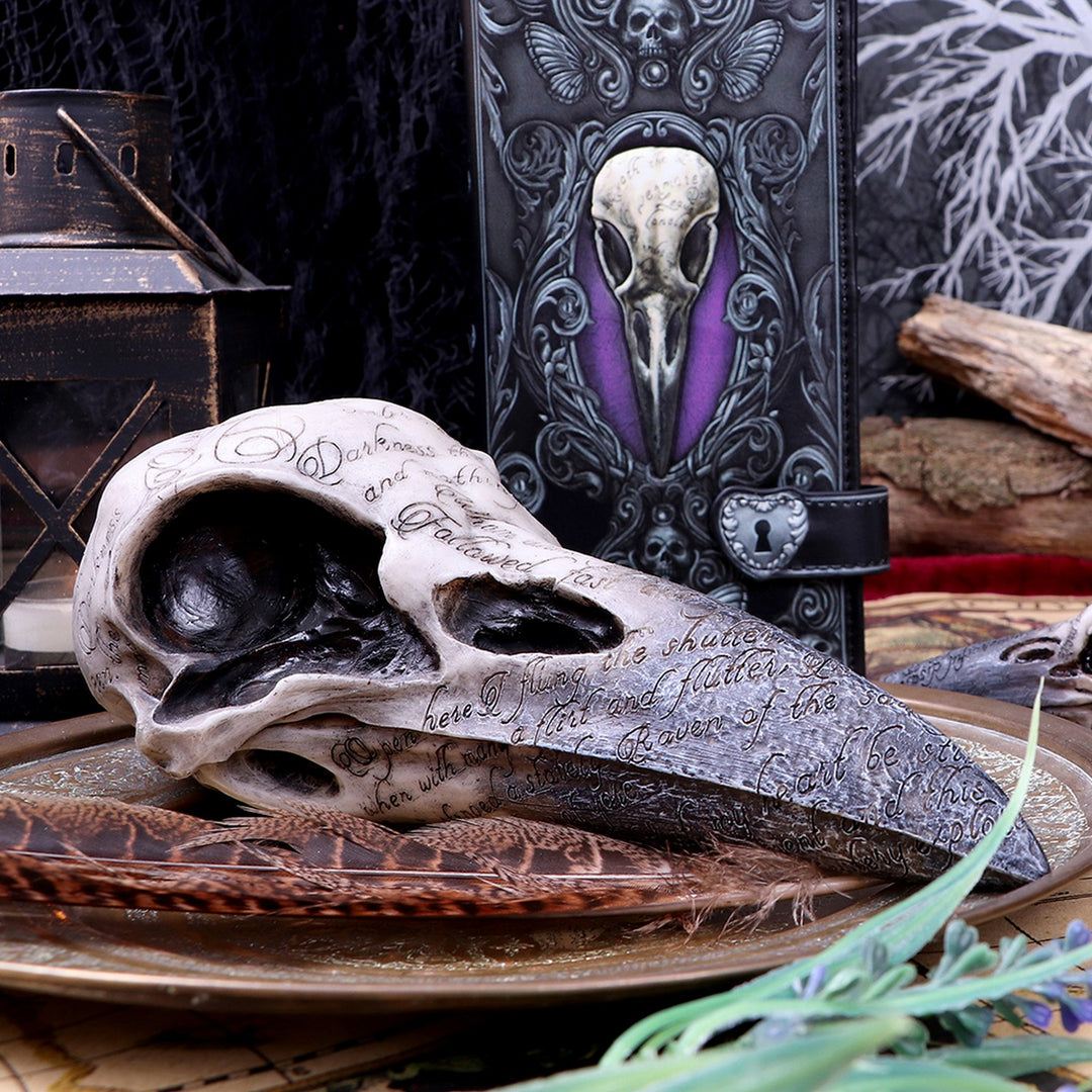 Edgar's Raven Skull Figurine Edgar Allen Poe Ornament B1986F6