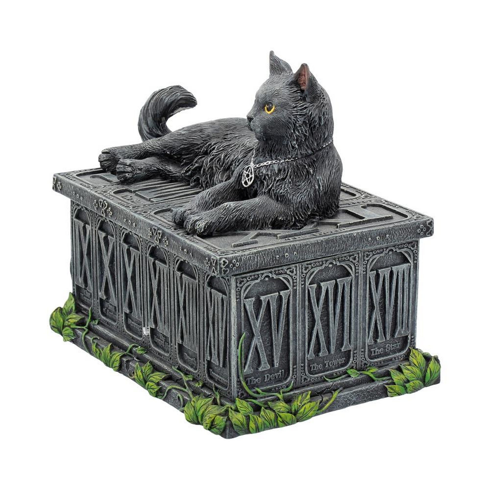 Fortune's Watcher Cat Familiar Tarot Box B2808G6