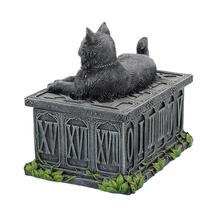 Fortune's Watcher Cat Familiar Tarot Box B2808G6