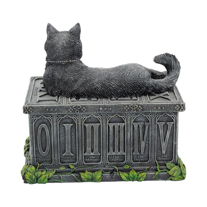 Fortune's Watcher Cat Familiar Tarot Box B2808G6
