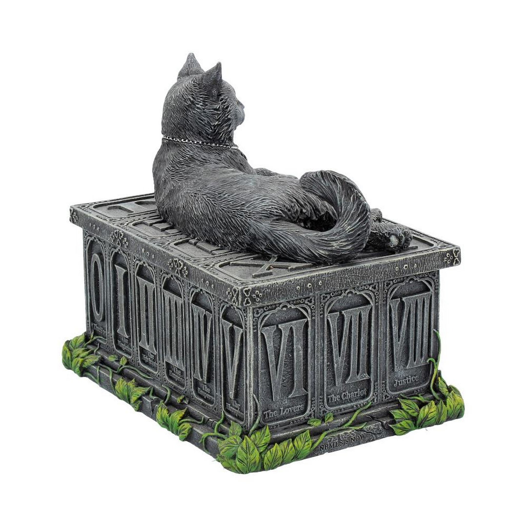 Fortune's Watcher Cat Familiar Tarot Box B2808G6