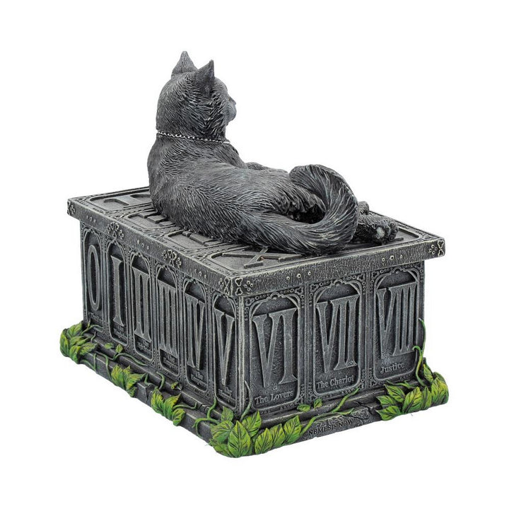 Fortune's Watcher Cat Familiar Tarot Box B2808G6
