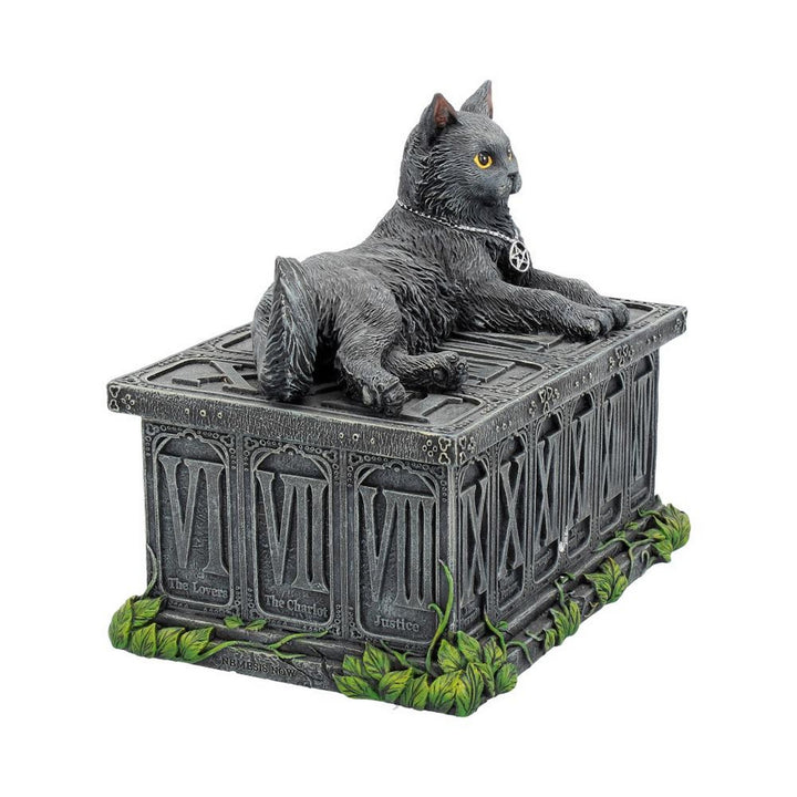 Fortune's Watcher Cat Familiar Tarot Box B2808G6
