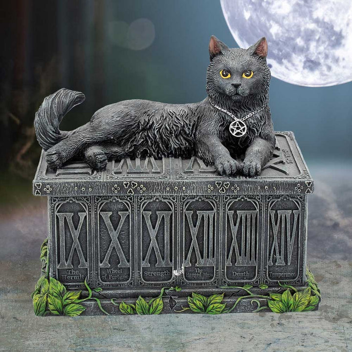 Fortune's Watcher Cat Familiar Tarot Box B2808G6