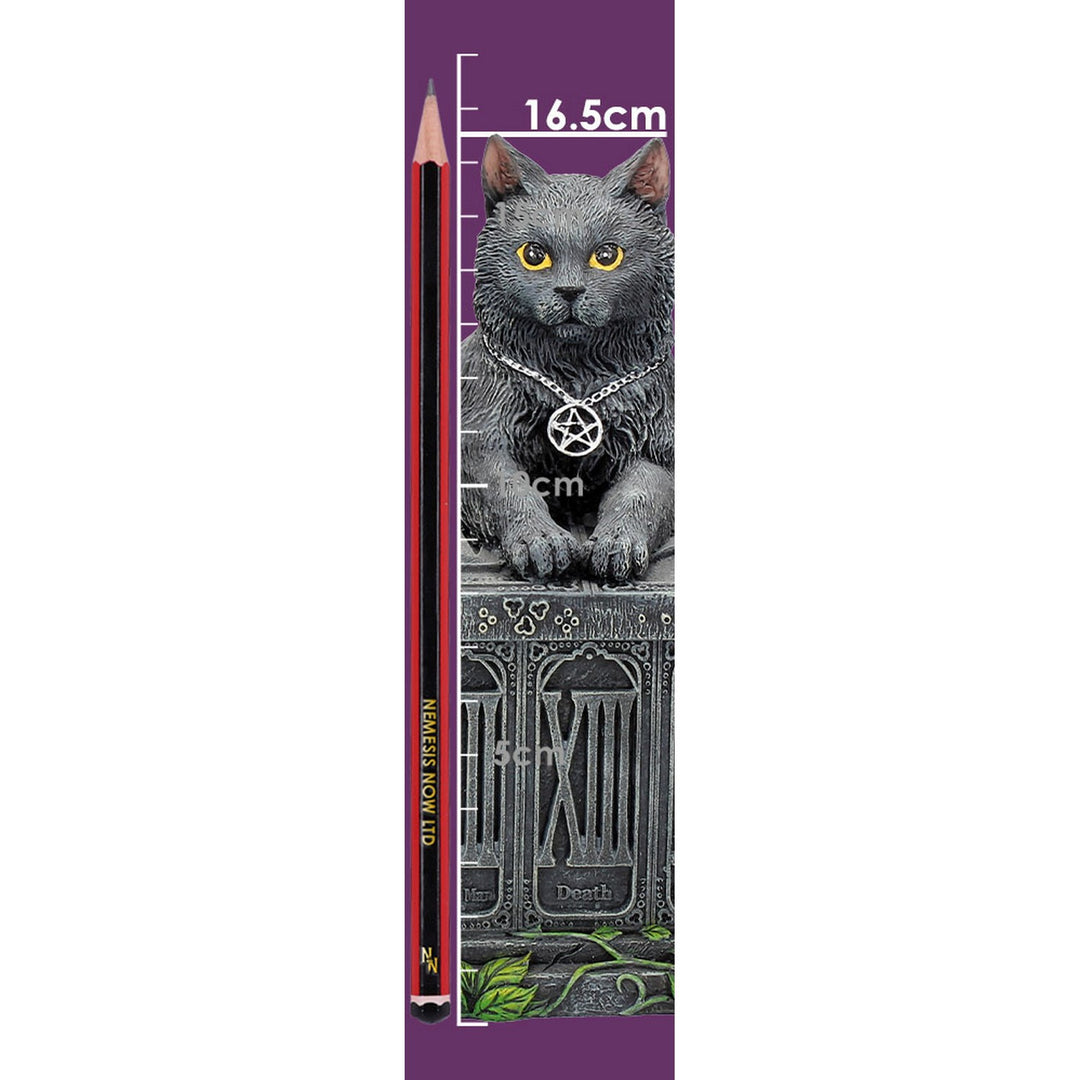 Fortune's Watcher Cat Familiar Tarot Box B2808G6