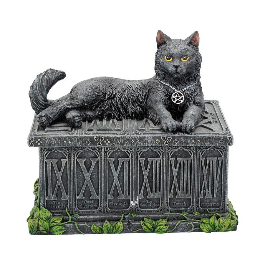 Fortune's Watcher Cat Familiar Tarot Box B2808G6