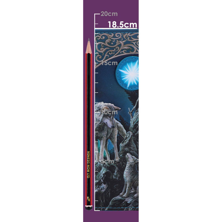 Nemesis Now Lisa Parker Guidance Wolf Pup Embossed Purse Turquoise 18.5cm B3937K8