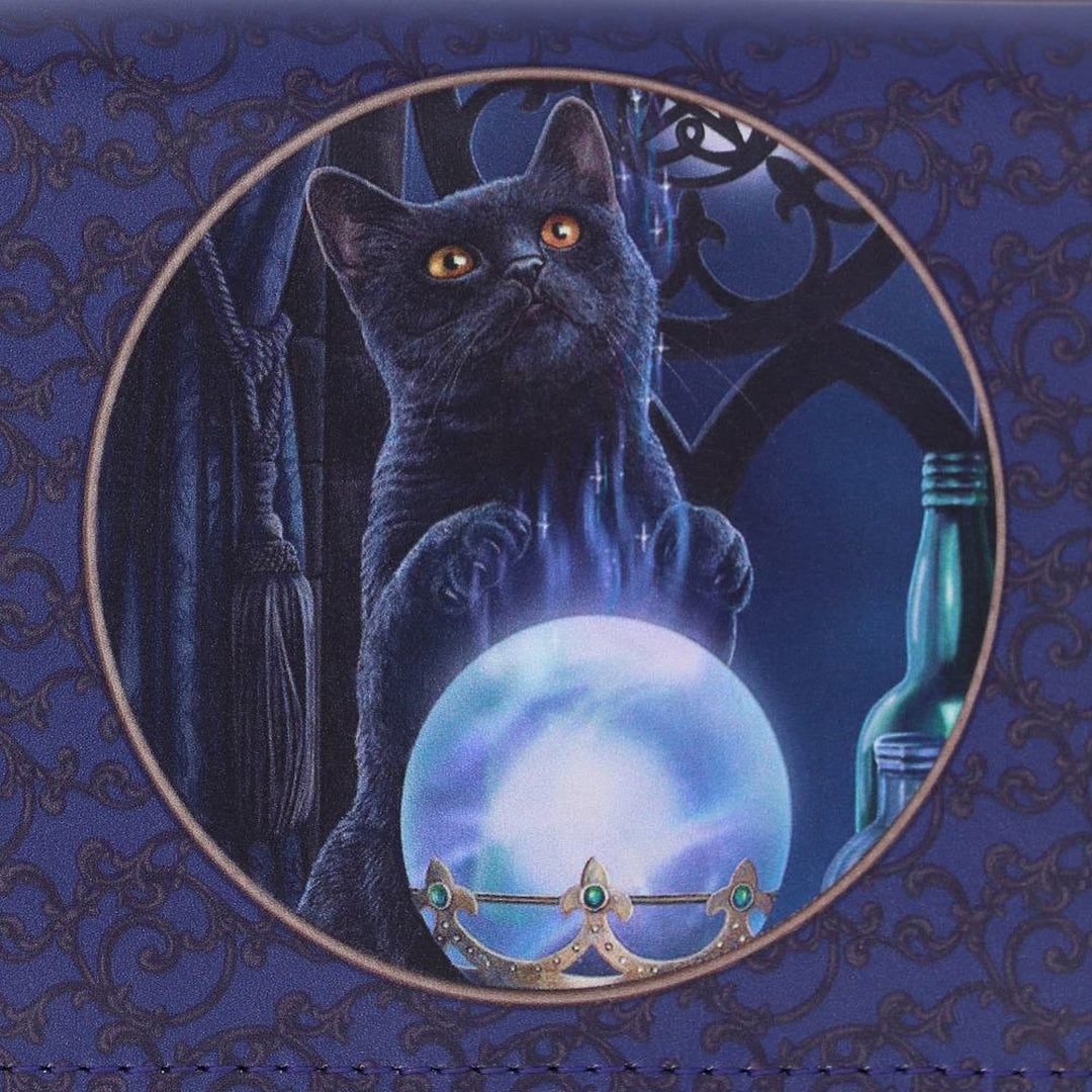 Lisa Parker The Witches Apprentice Cat Crystal Ball Purse B4005K8