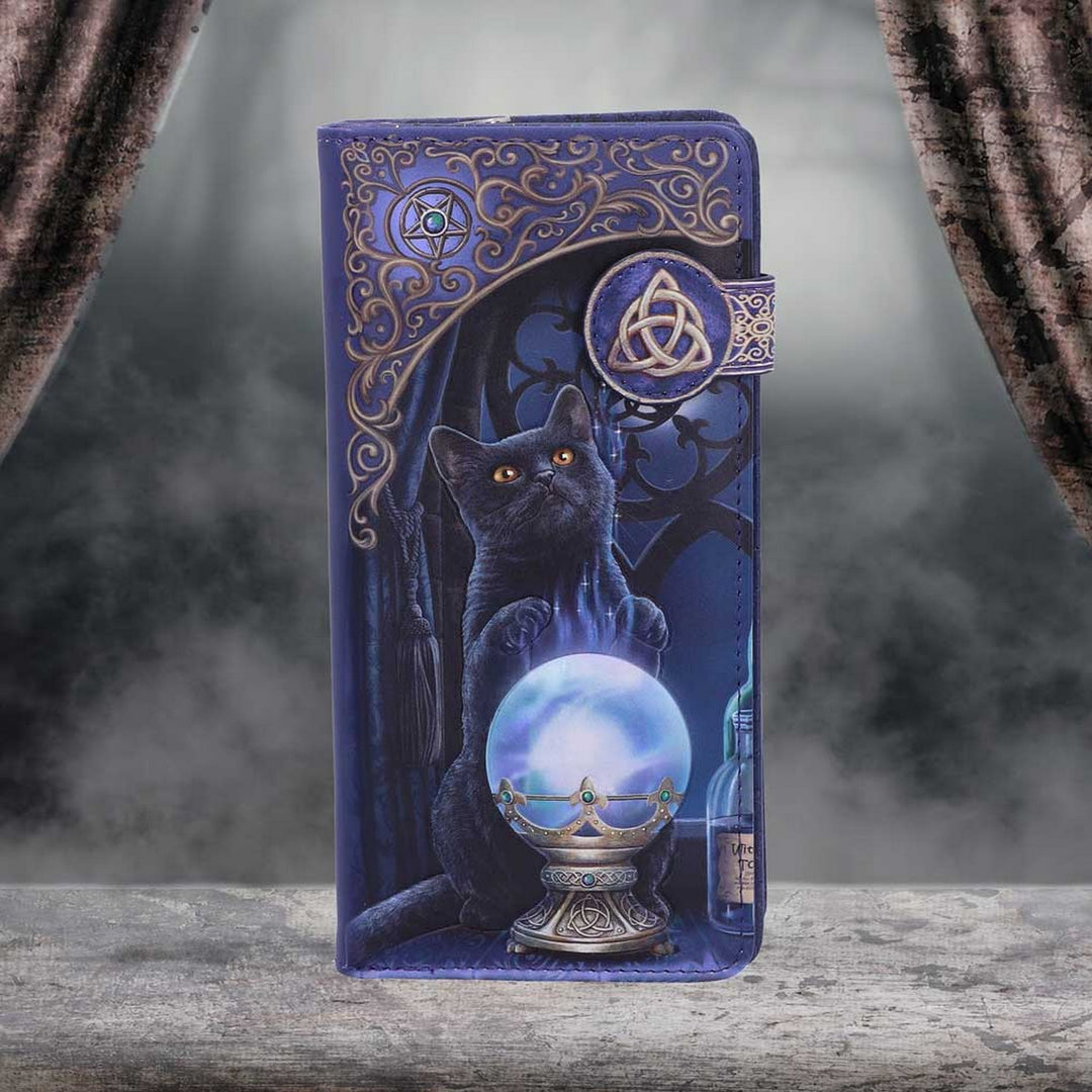 Lisa Parker The Witches Apprentice Cat Crystal Ball Purse B4005K8