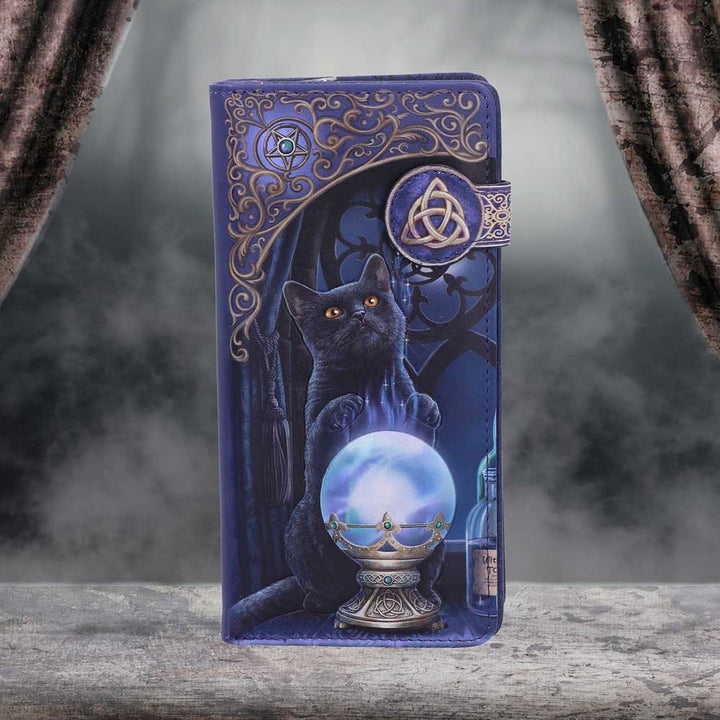 Lisa Parker The Witches Apprentice Cat Crystal Ball Purse B4005K8