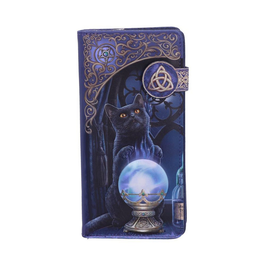 Lisa Parker The Witches Apprentice Cat Crystal Ball Purse B4005K8