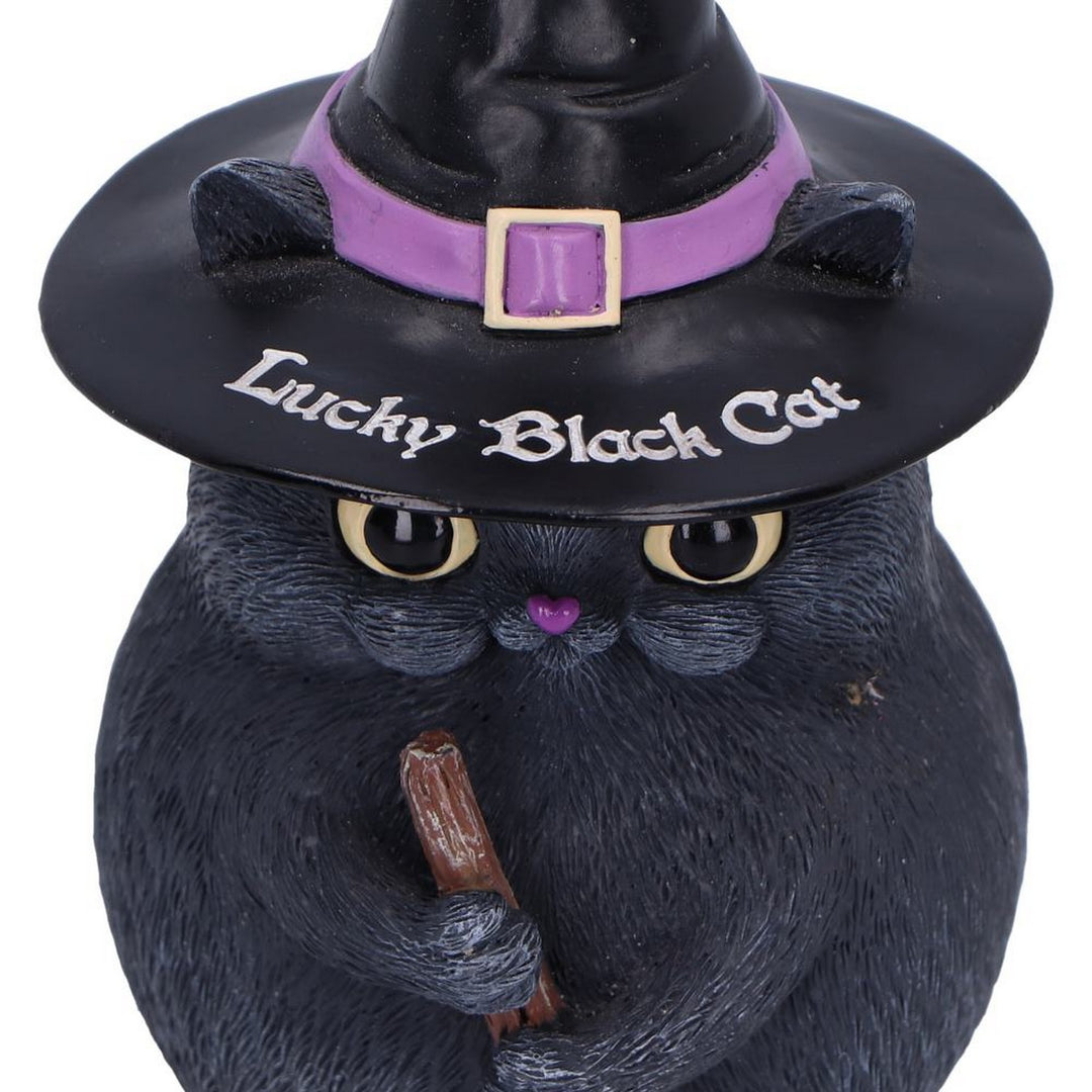 Lucky Black Cat Snapcat Ornament Filter Cute Cat Figurine B4088M8