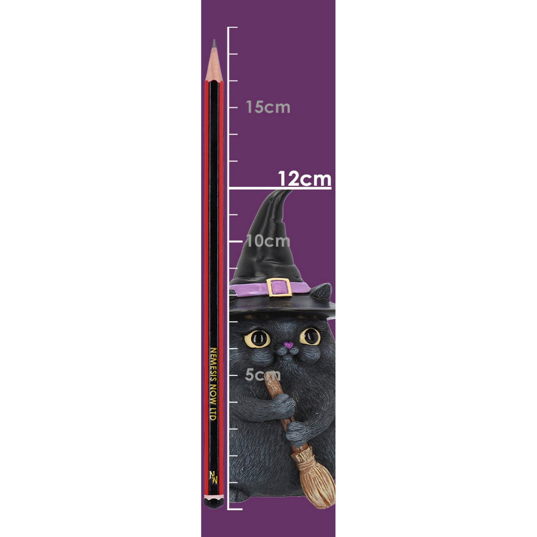 Lucky Black Cat Snapcat Ornament Filter Cute Cat Figurine B4088M8