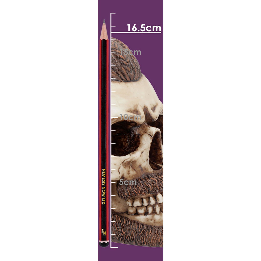 Ragnar Viking Skull Ornament 16cm B4477N9