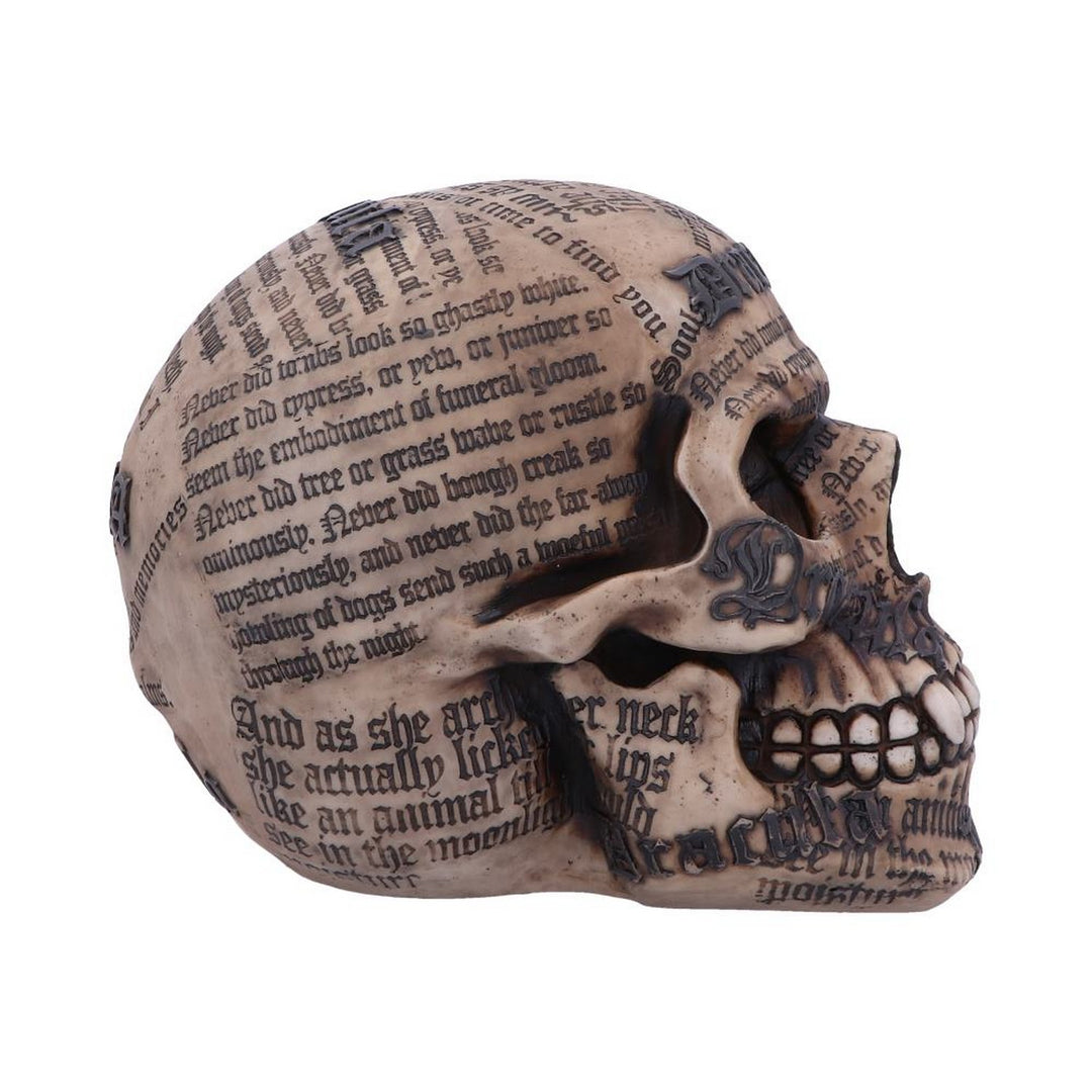 Dracula's Tale Vampire Novel Quote Skull B4478N9