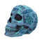 Aqua Blue Traditional, Tribal Tattoo Fund Skull B5111R0