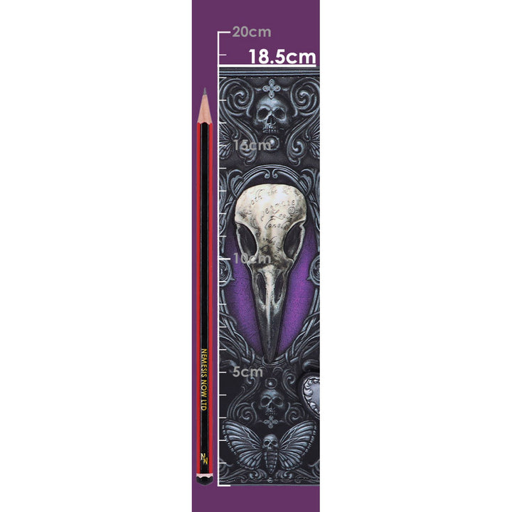 Edgar Allen Poe Nevermore Raven Purse B5117R0