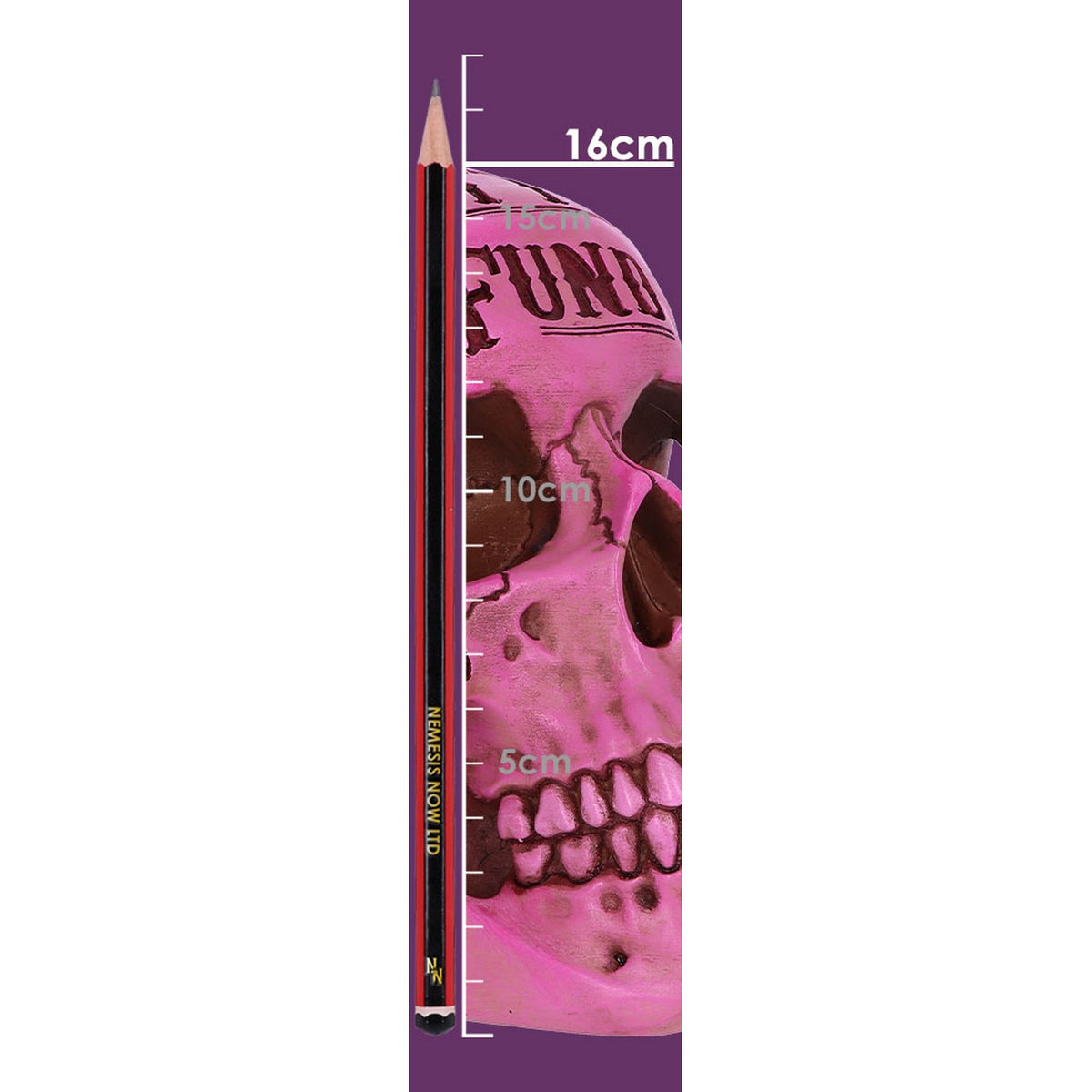 Pink Traditional Tribal Tattoo Fund Skull Money Box B5235S0