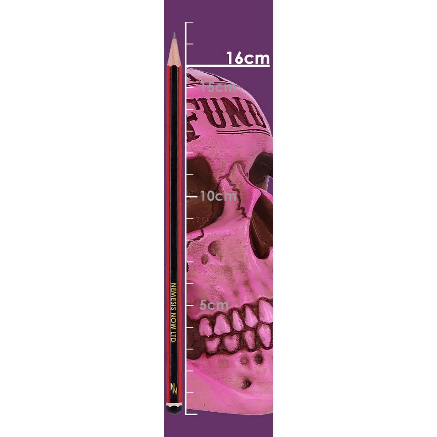 Pink Traditional Tribal Tattoo Fund Skull Money Box B5235S0
