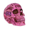 Pink Traditional Tribal Tattoo Fund Skull Money Box B5235S0