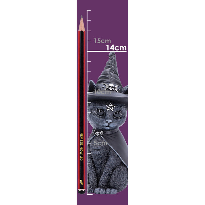Purrah Witches Hat Occult Cat Figurine B5238S0