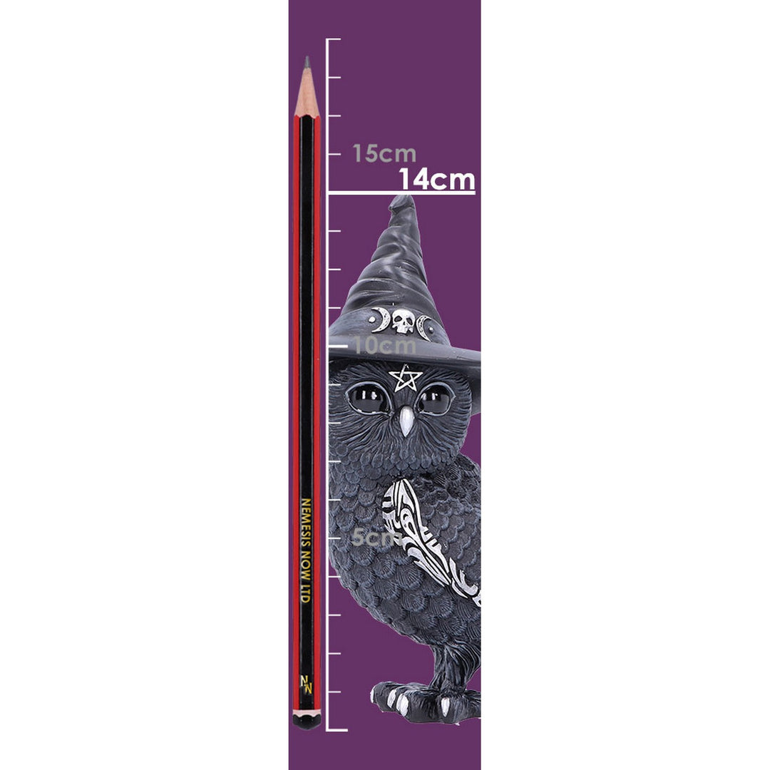 Owlocen Witches Hat Occult Owl Figurine B5239S0