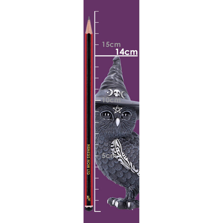 Owlocen Witches Hat Occult Owl Figurine B5239S0