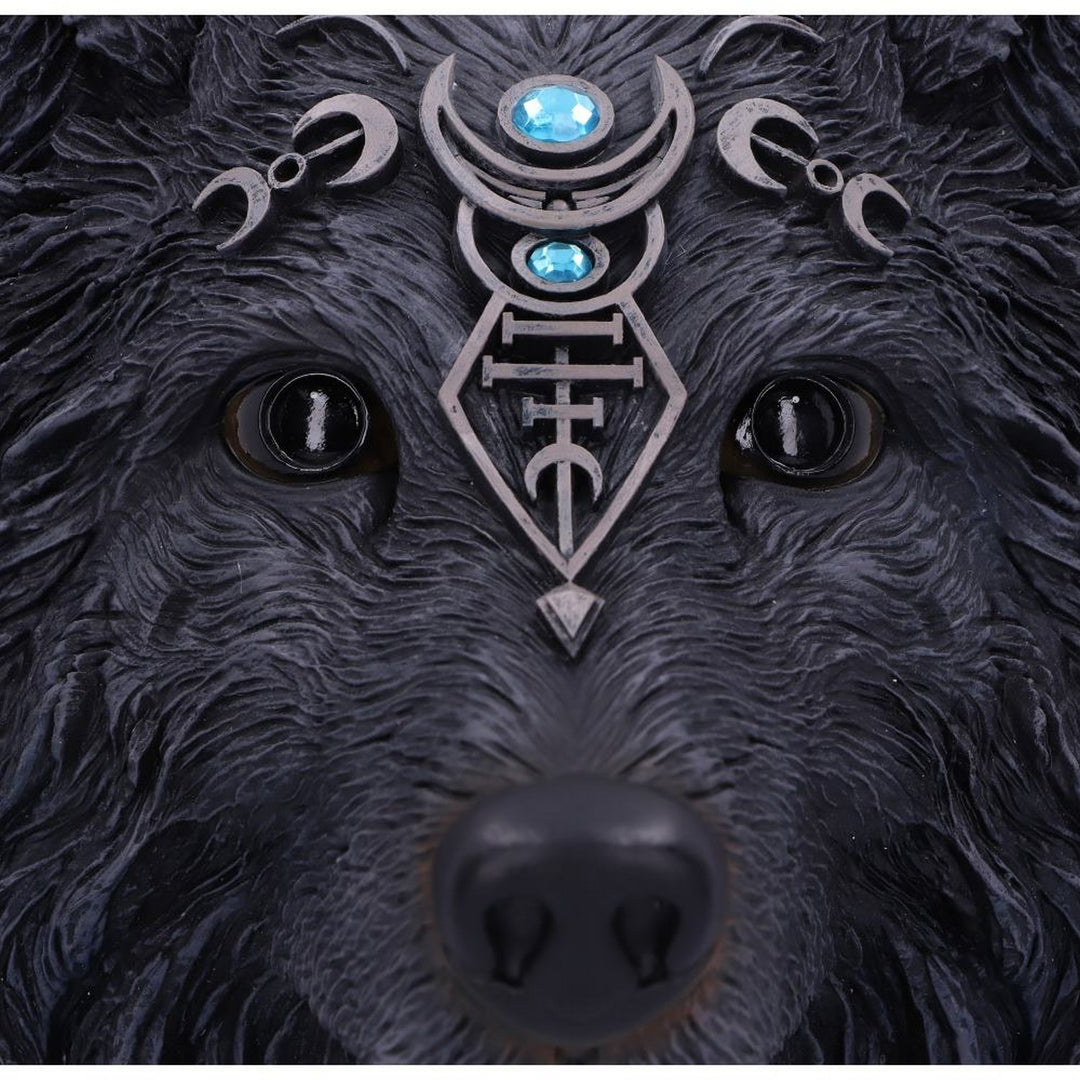 Dark Gothic Magical Wolf Moon Wall Hanging Plaque B5240S0