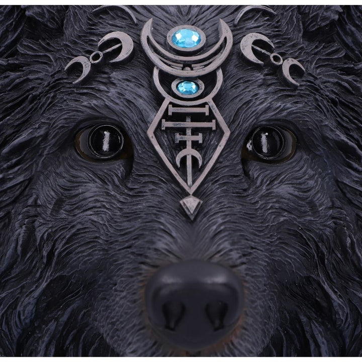 Dark Gothic Magical Wolf Moon Wall Hanging Plaque B5240S0