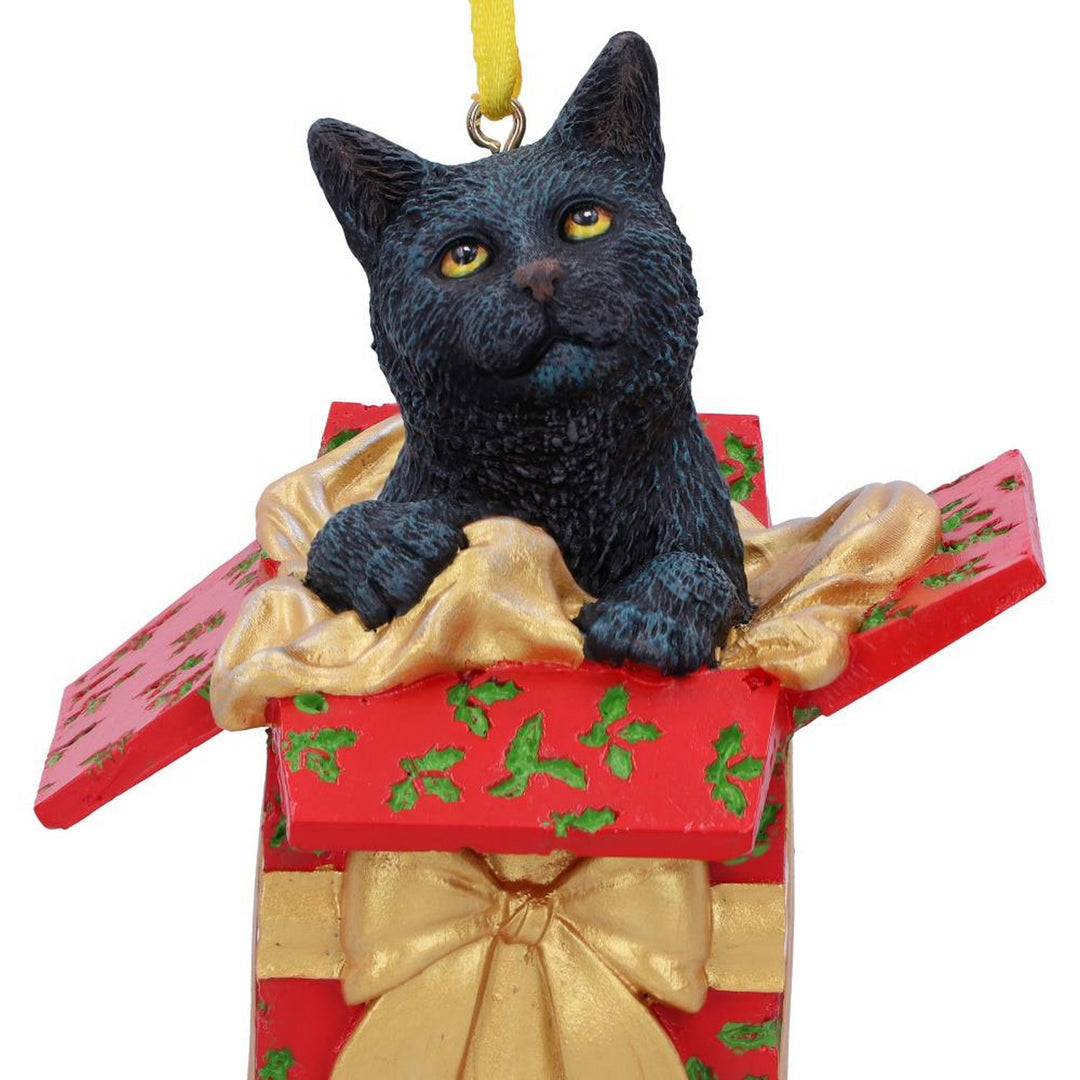 Lisa Parker Present Cat Hanging Ornament 9cm B5784U1