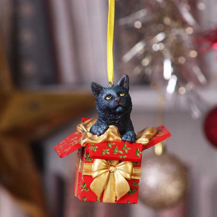 Lisa Parker Present Cat Hanging Ornament 9cm B5784U1