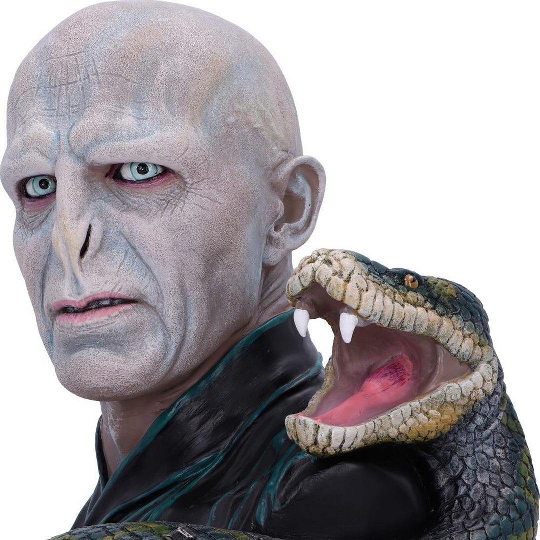 Harry Potter Lord Voldemort Bust 30.5cm B5792U1