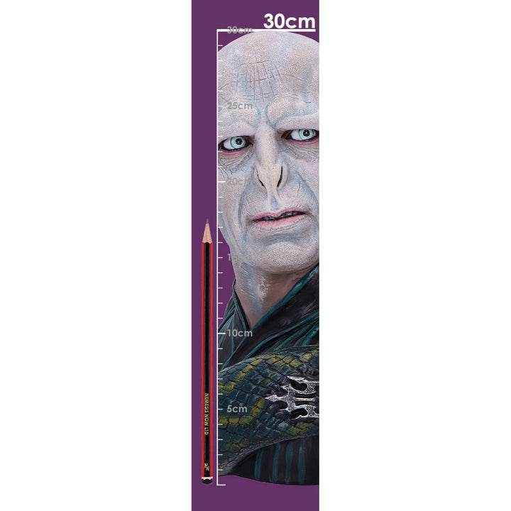 Harry Potter Lord Voldemort Bust 30.5cm B5792U1