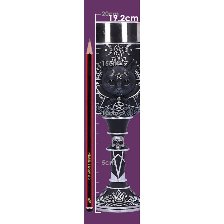 Malpuss Goblet 19.5cm B5800U1