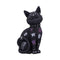 Bad to the Bone Cat Figurine 22cm B5887V2
