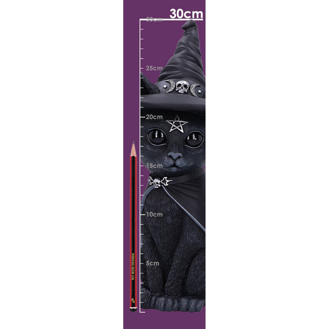 Cult Cuties Purrah Witch Cat Figurine 30cm (Large) B5903V2