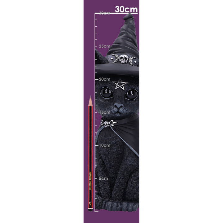 Cult Cuties Purrah Witch Cat Figurine 30cm (Large) B5903V2