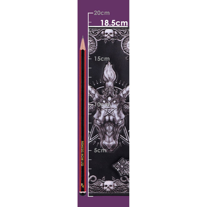 Baphomet Embossed Purse 18.5cm B5950V2