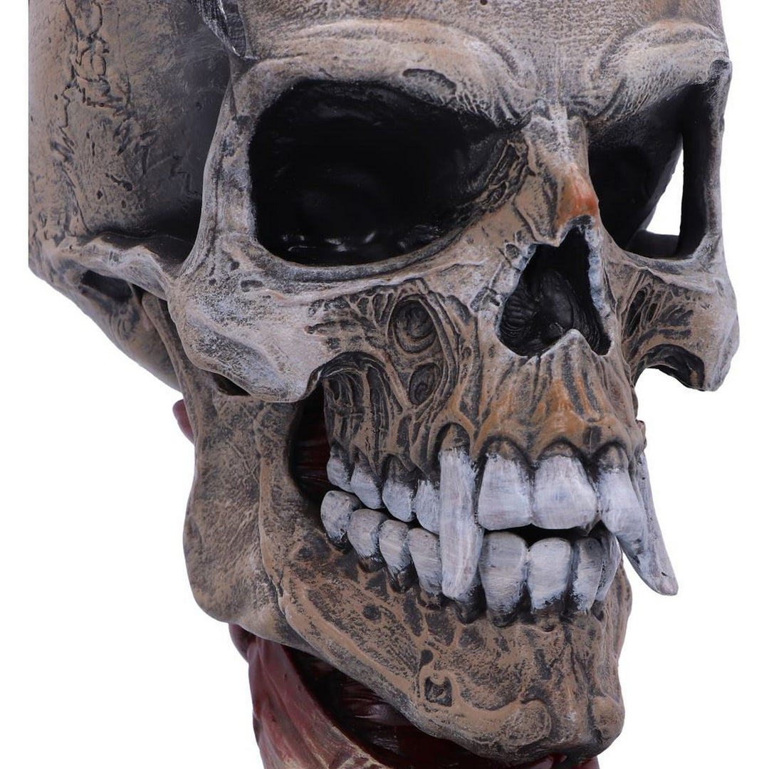 Metallica Pushead Skull 23.5cm B5956V2