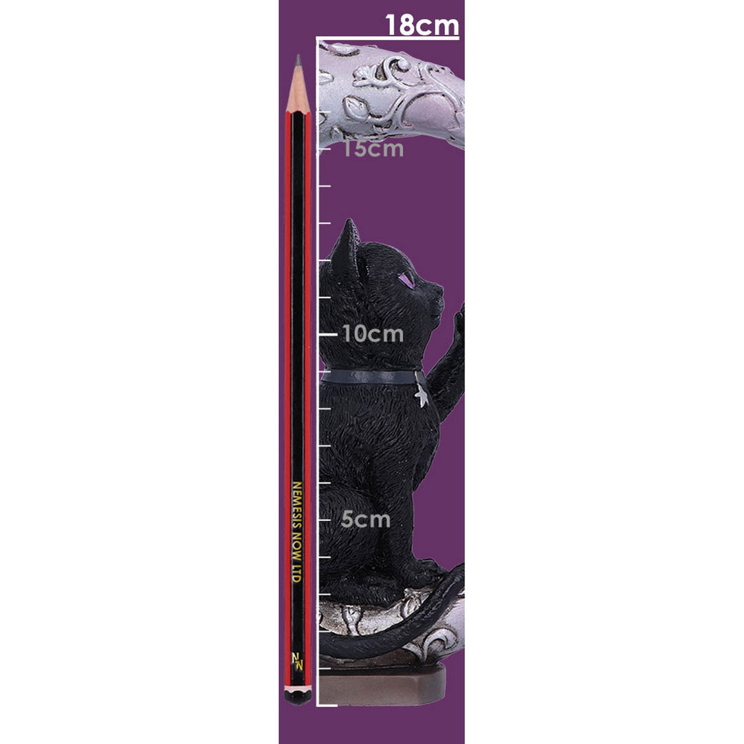 Luna Companion Moon and Cat Ornament 18.8cm B5978V2