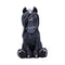 Cult Cuties Culticorn Figurine 10.2cm B6019W2