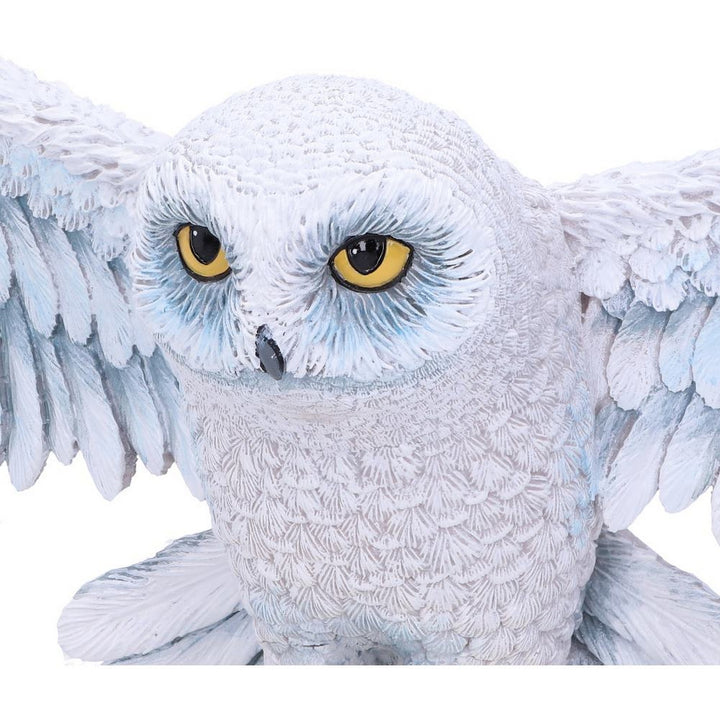 Harry Potter Hedwig Owl Wall Plaque 45cm B6054W2