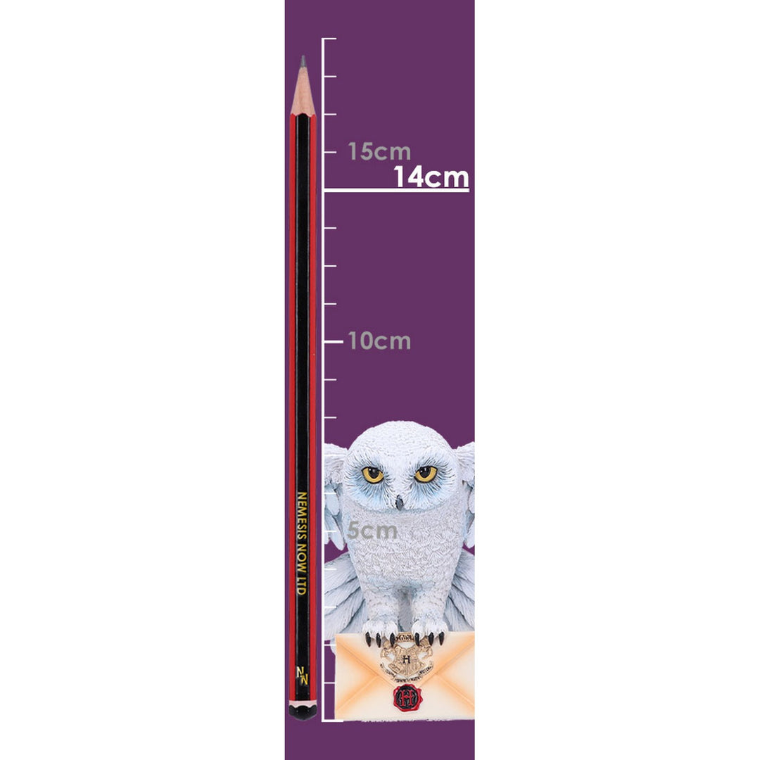 Harry Potter Hedwig Owl Wall Plaque 45cm B6054W2