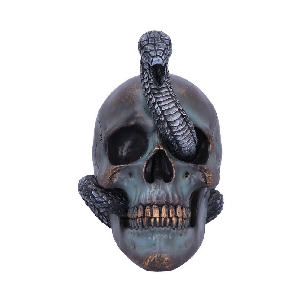 Serpentine Fate Gothic Snake Skull 19cm B6093W2