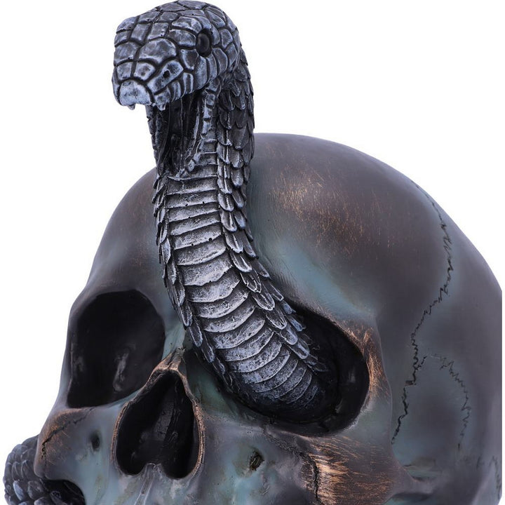 Serpentine Fate Gothic Snake Skull 19cm B6093W2
