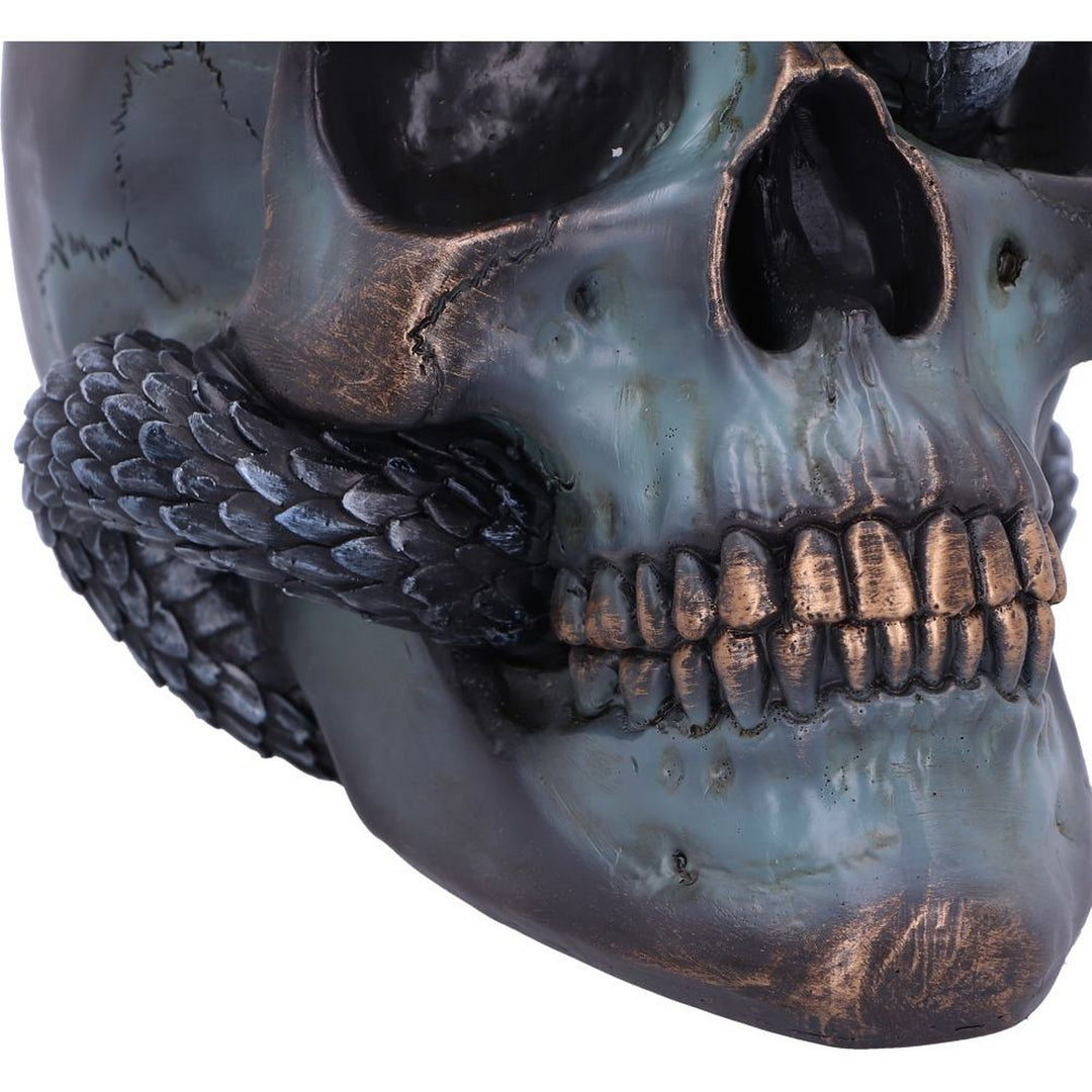 Serpentine Fate Gothic Snake Skull 19cm B6093W2